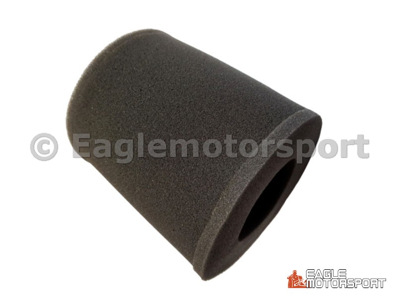 Air cleaner element, Access SP250/300